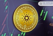 ¿Cardano a $3? ¡Descubre por qué un analista predice un alza inminente! - Cripto Boom