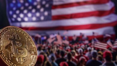 220 candidatos pro-cripto elegidos en EE.UU. mientras Elizabeth Warren mantiene su escaño pese a Bitcoin a $75k: ¡Descubre más! - Cripto Boom