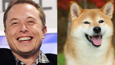 Elon Musk y Dogecoin: Descubre cómo el multimillonario se convirtió en el 'Dogefather' - Cripto Boom