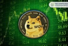 Descubre Hasta Dónde Puede Llegar Dogecoin si DOGE Repite su Rally de 2021 - Cripto Boom