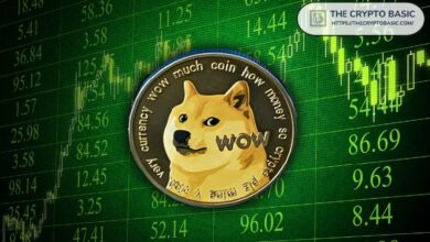 Descubre Hasta Dónde Puede Llegar Dogecoin si DOGE Repite su Rally de 2021 - Cripto Boom