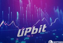 Upbit Lanza el Par de Comercio PEPE: Descubre la Volatilidad y Actividad Inversora - Cripto Boom