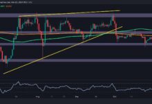 Análisis del Precio de Ripple: ¿Está XRP a Punto de Caer por Debajo de $0.5? Descúbrelo Ahora - Cripto Boom