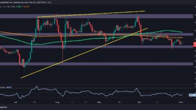 Análisis del Precio de Ripple: ¿Está XRP a Punto de Caer por Debajo de $0.5? Descúbrelo Ahora - Cripto Boom