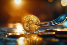 ¿Los forks de Bitcoin impulsan el progreso o amenazan la estabilidad? Descúbrelo aquí. - Cripto Boom