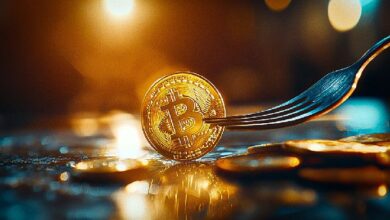 ¿Los forks de Bitcoin impulsan el progreso o amenazan la estabilidad? Descúbrelo aquí. - Cripto Boom