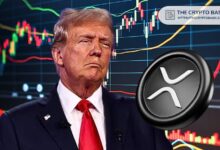 ¡Descubre el Encuentro entre el CEO de Ripple y Donald Trump Confirmado por FOX Business! - Cripto Boom