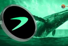 El Precio de Tellor Se Desploma: ¡Descubre por Qué las Ballenas Están Vendiendo en las Echanges! - Cripto Boom