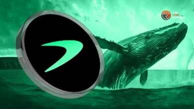 El Precio de Tellor Se Desploma: ¡Descubre por Qué las Ballenas Están Vendiendo en las Echanges! - Cripto Boom