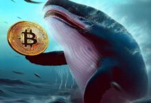 El Gigante de las Criptomonedas que Compró Bitcoin a $13 Despierta – Descubre Su Primera Transacción - Cripto Boom