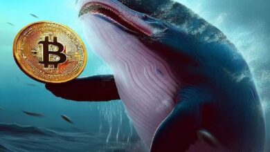 El Gigante de las Criptomonedas que Compró Bitcoin a $13 Despierta – Descubre Su Primera Transacción - Cripto Boom