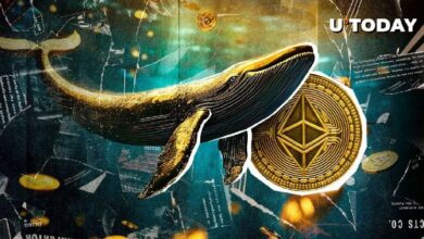 Gigantesca Ballena de ETH Da Inesperado Giro, Vende 14,240 ETH Mientras BTC Se Dispara: ¡Descubre Más! - Cripto Boom