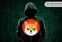 Shiba Inu: Descubre Cómo Atraer Grandes Intercambios a Shibarium ¡Haz Click para Saber Más! - Cripto Boom