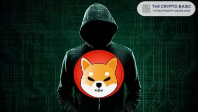 Shiba Inu: Descubre Cómo Atraer Grandes Intercambios a Shibarium ¡Haz Click para Saber Más! - Cripto Boom