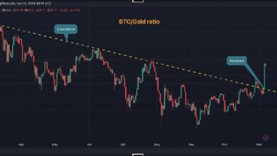 Este Indicador Señala una Rotación de Oro a Bitcoin: Descubre Más - Cripto Boom