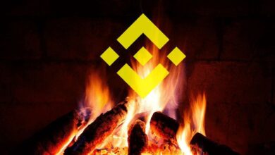 ¡Binance Quema Tokens de Bitcoin por 29ª Vez! Descubre Cuántos Tokens Fueron Eliminados - Cripto Boom