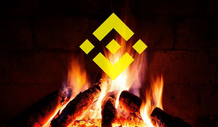 ¡Binance Quema Tokens de Bitcoin por 29ª Vez! Descubre Cuántos Tokens Fueron Eliminados - Cripto Boom