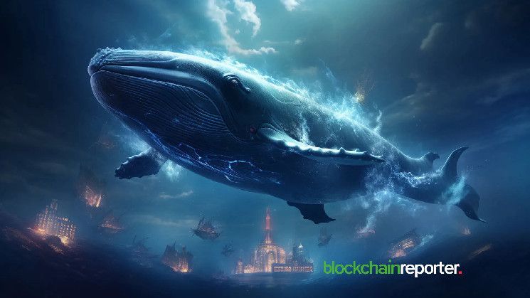 ¡Ballena Cripto Vende $2.56M en $FLOKI en Binance Durante Recuperación de Precios! - Cripto Boom