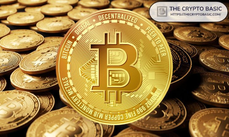 Aumento en Acumulación de Ballenas con el Lanzamiento del ETF de Opciones de Bitcoin: BTC Alcanza un ATH de $94K ¡Descubre Más! - Cripto Boom