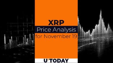 Predicción del Precio de XRP para el 19 de Noviembre: ¡Descubre el Futuro del Mercado! - Cripto Boom