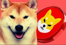 Este inversor temprano aún posee Shiba Inu (SHIB) valorado en $2,500 millones: Descubre su estrategia - Cripto Boom