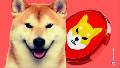 Este inversor temprano aún posee Shiba Inu (SHIB) valorado en $2,500 millones: Descubre su estrategia - Cripto Boom