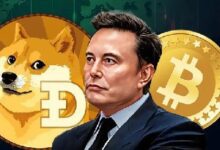 ¡Descubre cómo Elon Musk posee Dogecoin y la conexión de SpaceX con Bitcoin! - Cripto Boom