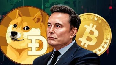 ¡Descubre cómo Elon Musk posee Dogecoin y la conexión de SpaceX con Bitcoin! - Cripto Boom