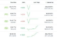 Informe de CoinGecko: ¡Las Blockchains de Capa 1 Se Disparan un 7,000% en 2024! Descubre Todos los Detalles - Cripto Boom