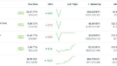 Informe de CoinGecko: ¡Las Blockchains de Capa 1 Se Disparan un 7,000% en 2024! Descubre Todos los Detalles - Cripto Boom