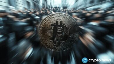 $6 mil millones en Bitcoin abandonan intercambios en medio de la caída de la actividad de ballenas: Descubre por qué ahora - Cripto Boom