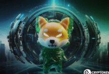 El Líder de Marketing de Shiba Inu Revela Claves Cripto Antes de las Elecciones: Descúbrelas Aquí - Cripto Boom