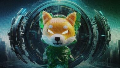 El Líder de Marketing de Shiba Inu Revela Claves Cripto Antes de las Elecciones: Descúbrelas Aquí - Cripto Boom