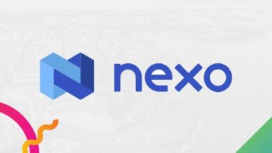 Nexo App: la plataforma para ganar y prestar criptomonedas - Descubre cómo maximizar tus inversiones - Cripto Boom