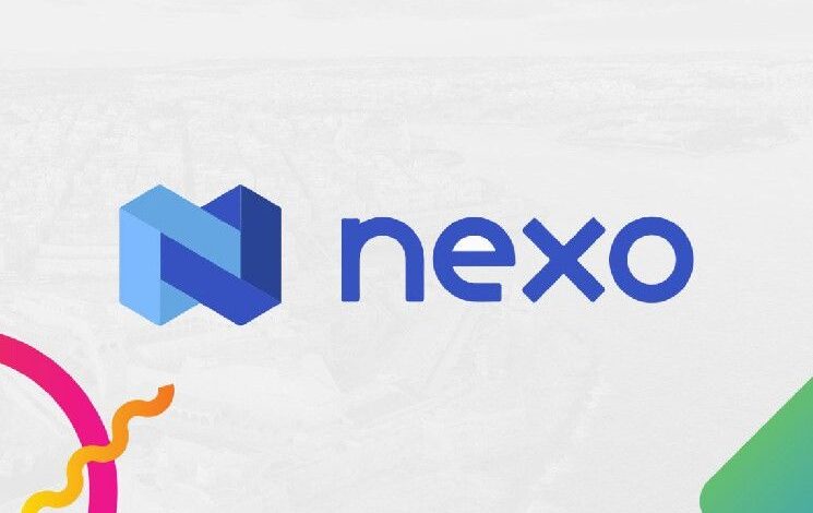 Nexo App: la plataforma para ganar y prestar criptomonedas - Descubre cómo maximizar tus inversiones - Cripto Boom