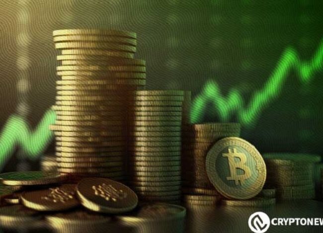 Rally de Bitcoin Continúa: Descubre Por Qué el Soporte de $65K es Clave para Alcanzar los $78K - Cripto Boom