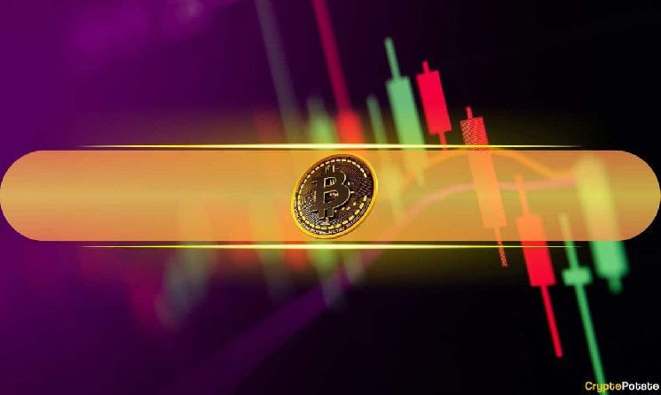 ¡Stellar (XLM) se dispara un 33% diario! Bitcoin (BTC) mantiene los $90K (Vigilancia del mercado) - Cripto Boom