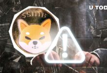 Cuándo SHIB podría ser una Gran Señal de Alerta: Advertencia del Equipo SHIB – Descúbrelo Ahora - Cripto Boom