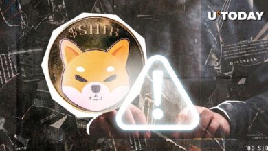 Cuándo SHIB podría ser una Gran Señal de Alerta: Advertencia del Equipo SHIB – Descúbrelo Ahora - Cripto Boom