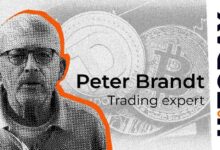 Peter Brandt Destaca la Correlación entre Bitcoin y Dogecoin: Descubre Más - Cripto Boom