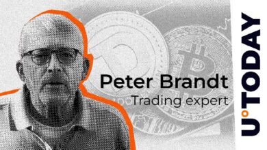 Peter Brandt Destaca la Correlación entre Bitcoin y Dogecoin: Descubre Más - Cripto Boom