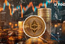 ¡Regreso Enorme de Ethereum: $200 Millones en ETH en Una Hora! Descubre Más - Cripto Boom