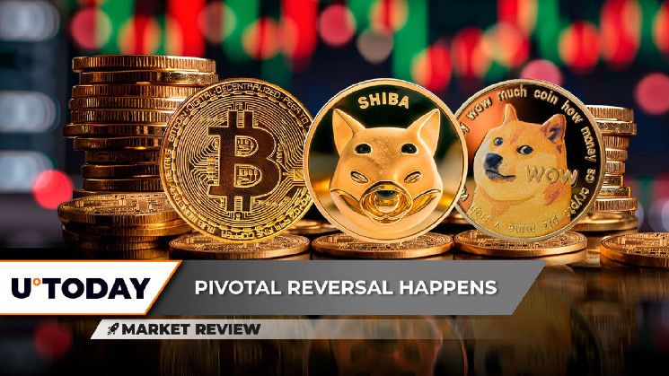 Reversión Crucial del Precio de Bitcoin (BTC) a $68,685: ¡Comienza la Recuperación de Shiba Inu (SHIB) y el Regreso del Mercado Alcista de Dogecoin (DOGE)! - Cripto Boom