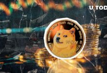 60 Mil Millones de Dogecoin (DOGE) en 24 Horas: ¿Qué Está Sucediendo? Descúbrelo Aquí - Cripto Boom