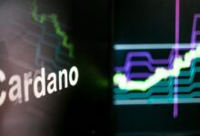 Predicción del precio de Cardano: Expertos ven al token ADA despegando. ¡Descubre más! - Cripto Boom