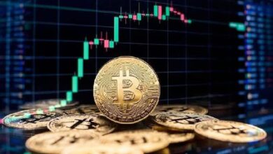 La subida parabólica de Bitcoin: ¿Por qué $170,000 podría ser el próximo objetivo? Descúbrelo aquí - Cripto Boom