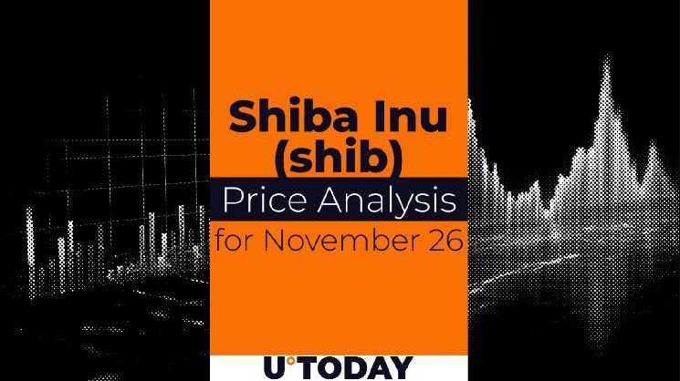 Predicción de Precio SHIB para el 26 de Noviembre: ¿Invertir Ahora? - Cripto Boom