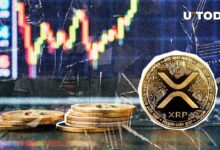 XRP Da el Primer Paso hacia su Mayor Incremento Histórico de Precio: ¡Descubre Más! - Cripto Boom