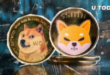 ¡Shiba Inu (SHIB) Sorprende a Dogecoin con Aumento de Transacciones de Ballenas en Tres Dígitos! - Cripto Boom