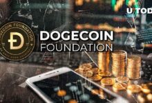 La Fundación Dogecoin Presenta su Ambición para 2025: ¡Descubre los Detalles! - Cripto Boom